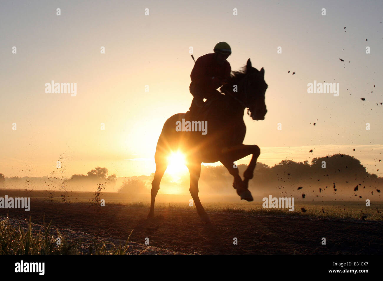 Cavaliere sul suo cavallo nella luce del mattino, Iffezheim, Germania Foto Stock