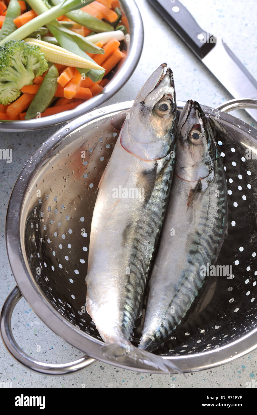 Per sgombro pesce in una cucina in attesa di essere preparato per un pasto Foto Stock