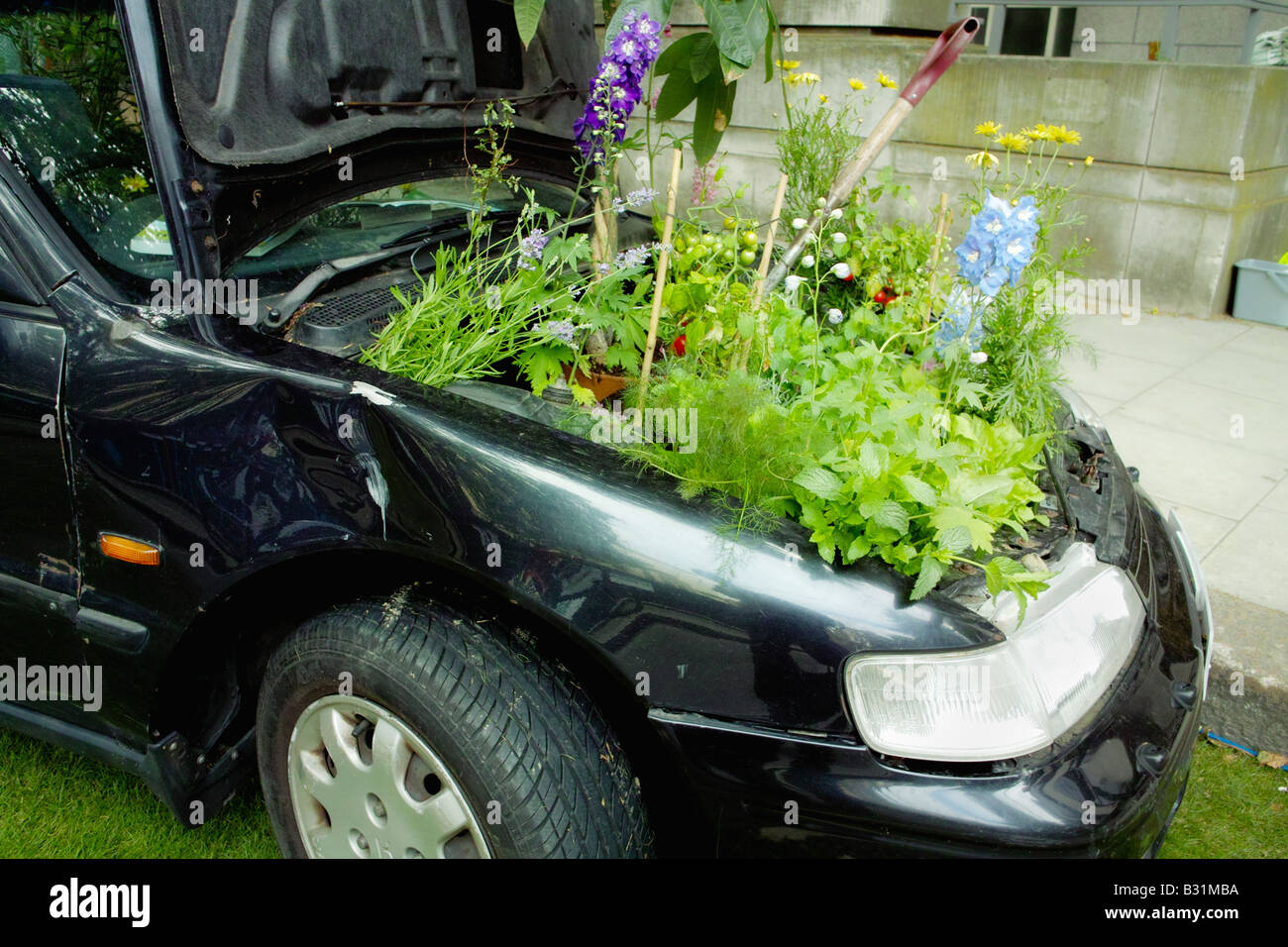 Pulire il verde auto ecologica il trasporto del veicolo con piante nel vano motore Foto Stock
