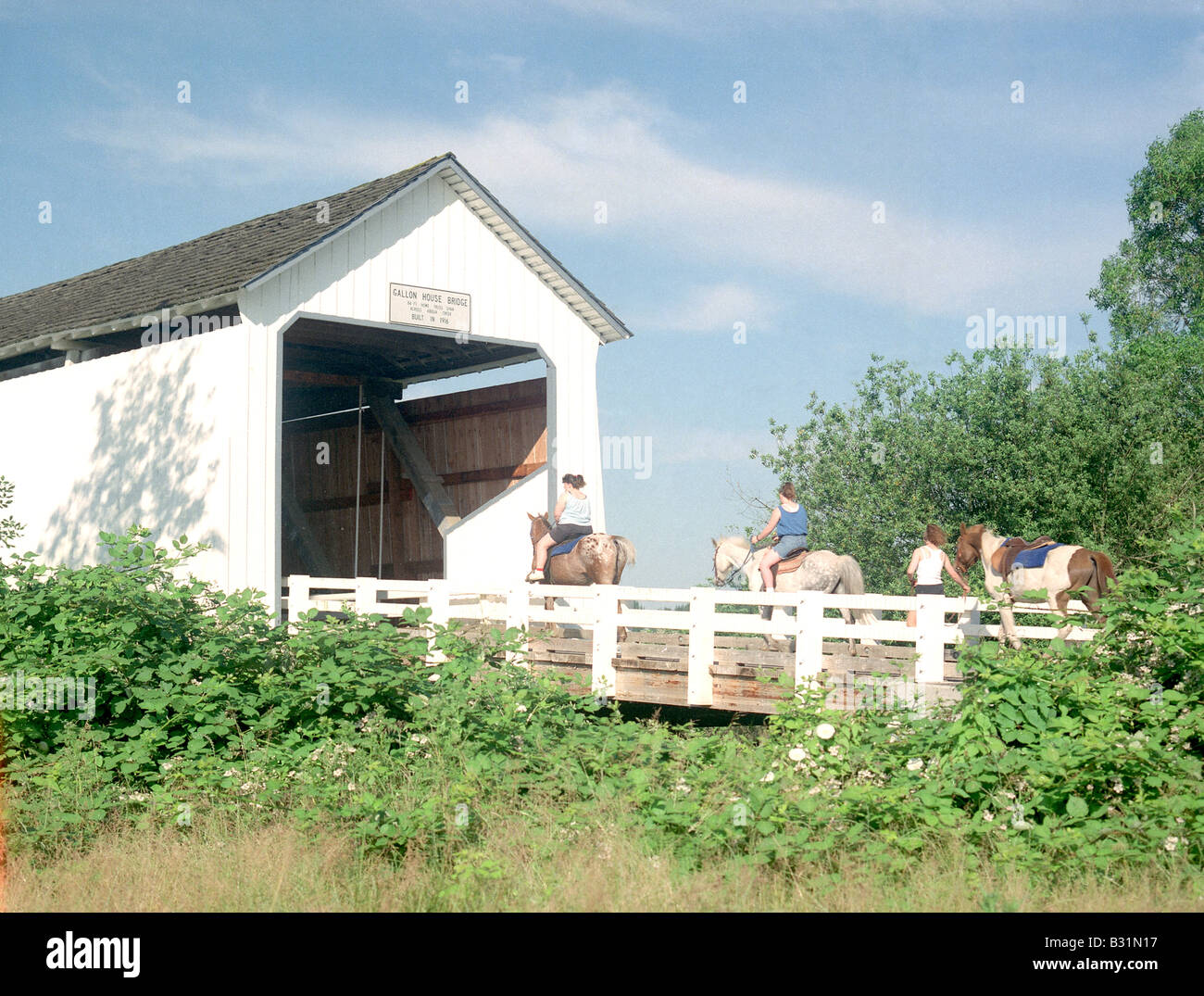 Parvin Creek Ponte Coperto Lane County Oregon USA Rattlesnake Road Lost Creek valle persa Lane Foto Stock