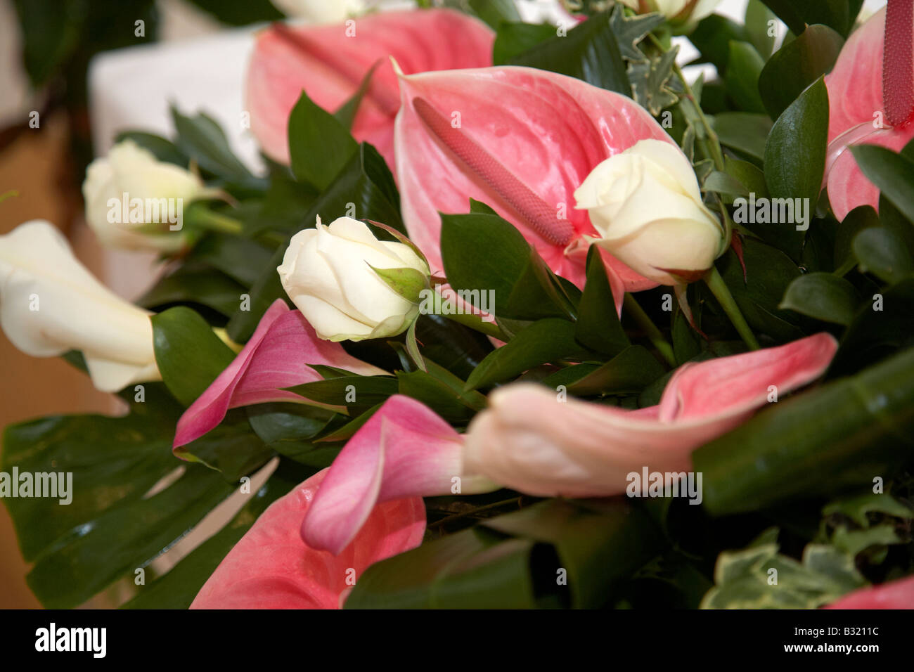 Cala gigli e rose fiori di nozze Foto Stock