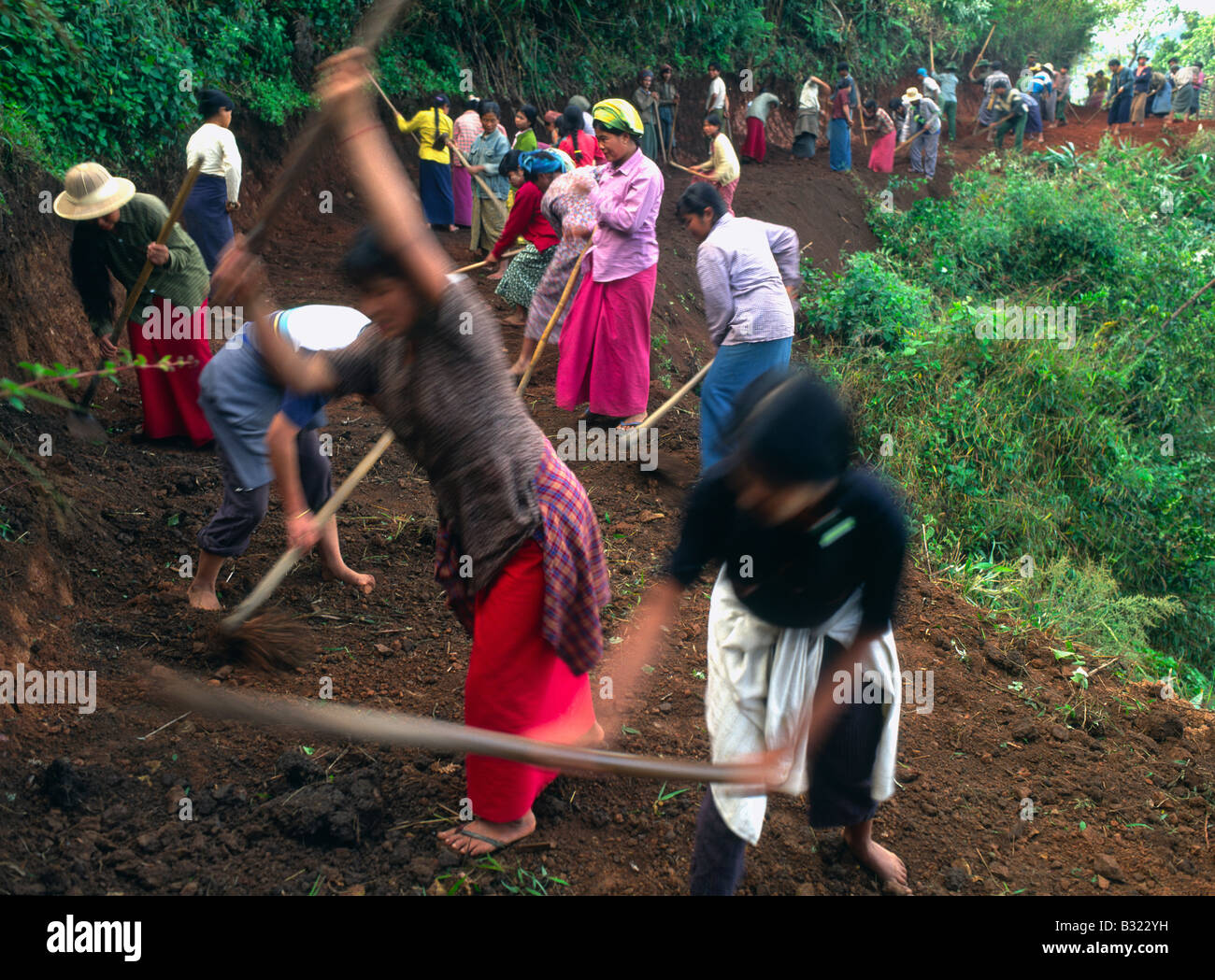 Mynamar Birmania Stato Shan gruppo di abitanti lavorano insieme alla realizzazione di un percorso in un ripido bosco senza qualsiasi macchinario Foto Stock