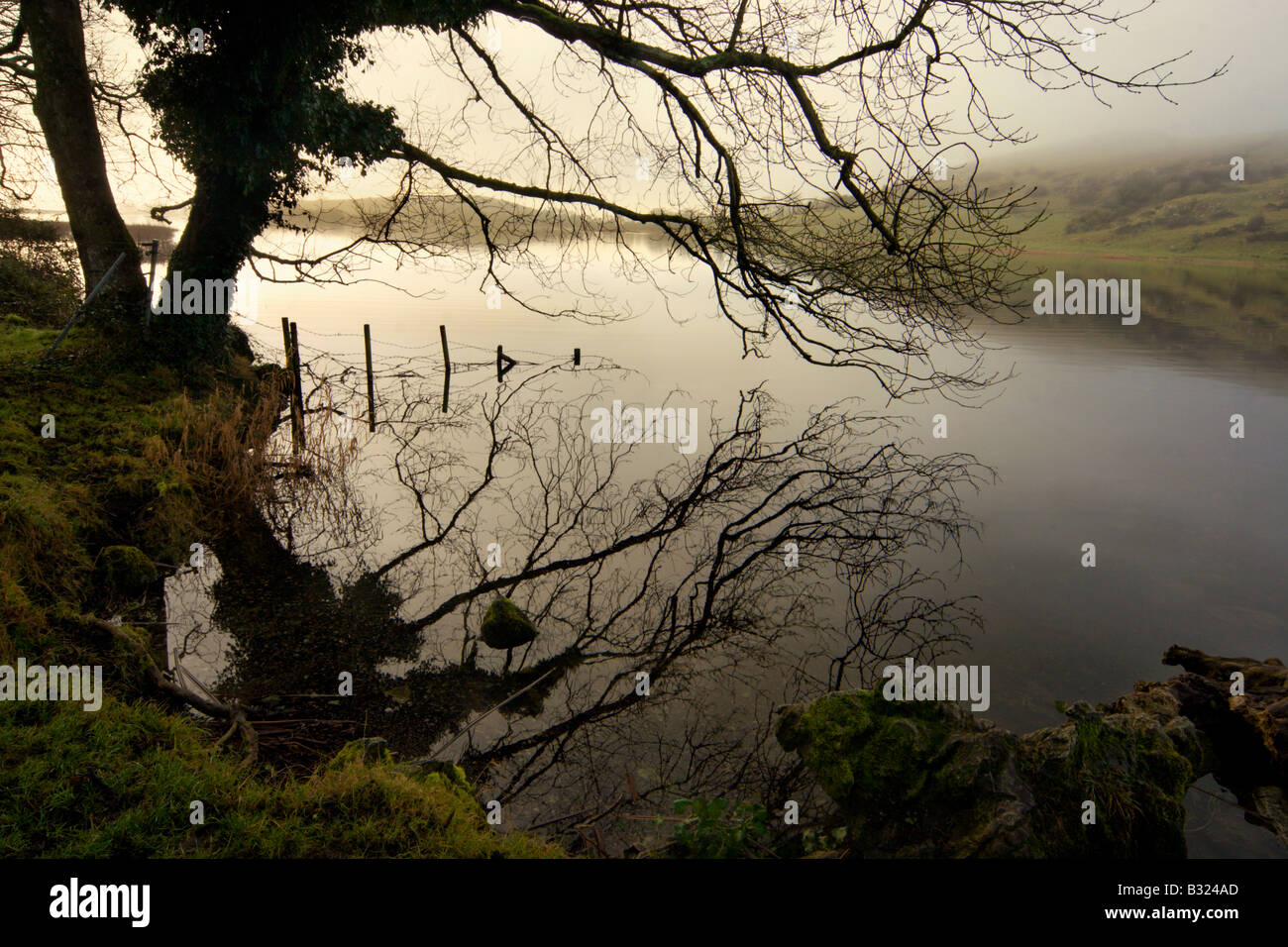 Lough Gur, Co. Limerick, Irlanda Foto Stock