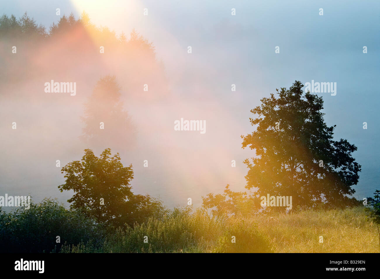 Bellissima alba raggi oltre il fiume Gauja valley in Gaujiena Vidzeme Lettonia Foto Stock