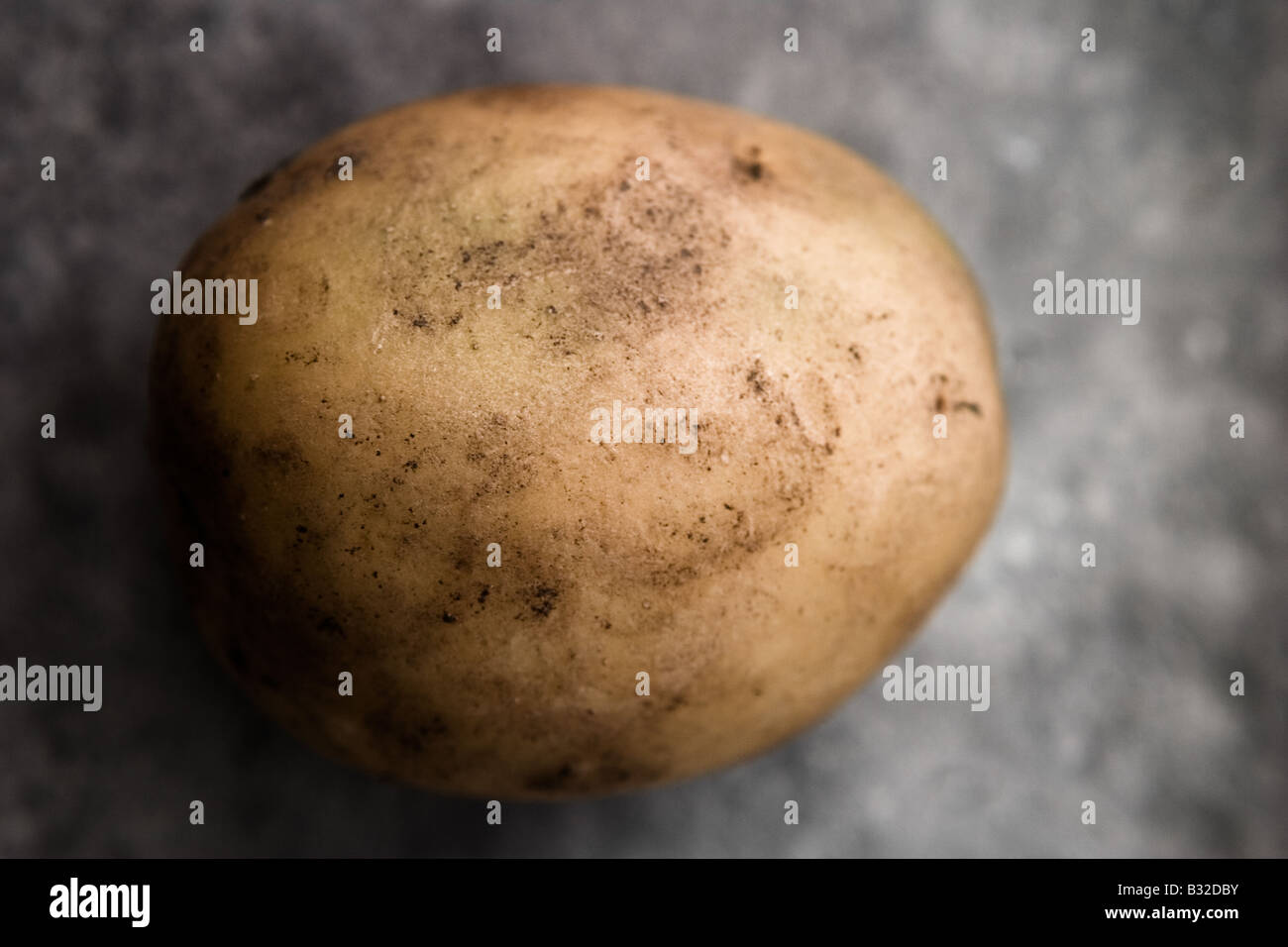 Patata (solanum tuberosum) Foto Stock