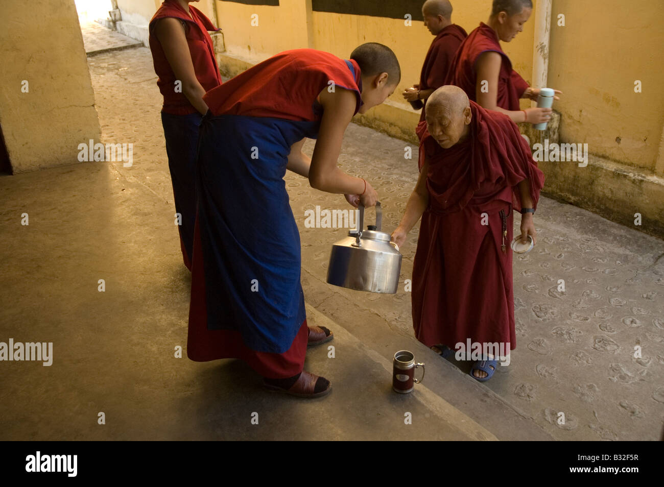 Le monache che serve il Tibetano burro tè in Geden Choeling convento in McLeod Ganj, Himachal Pradesh, India Foto Stock