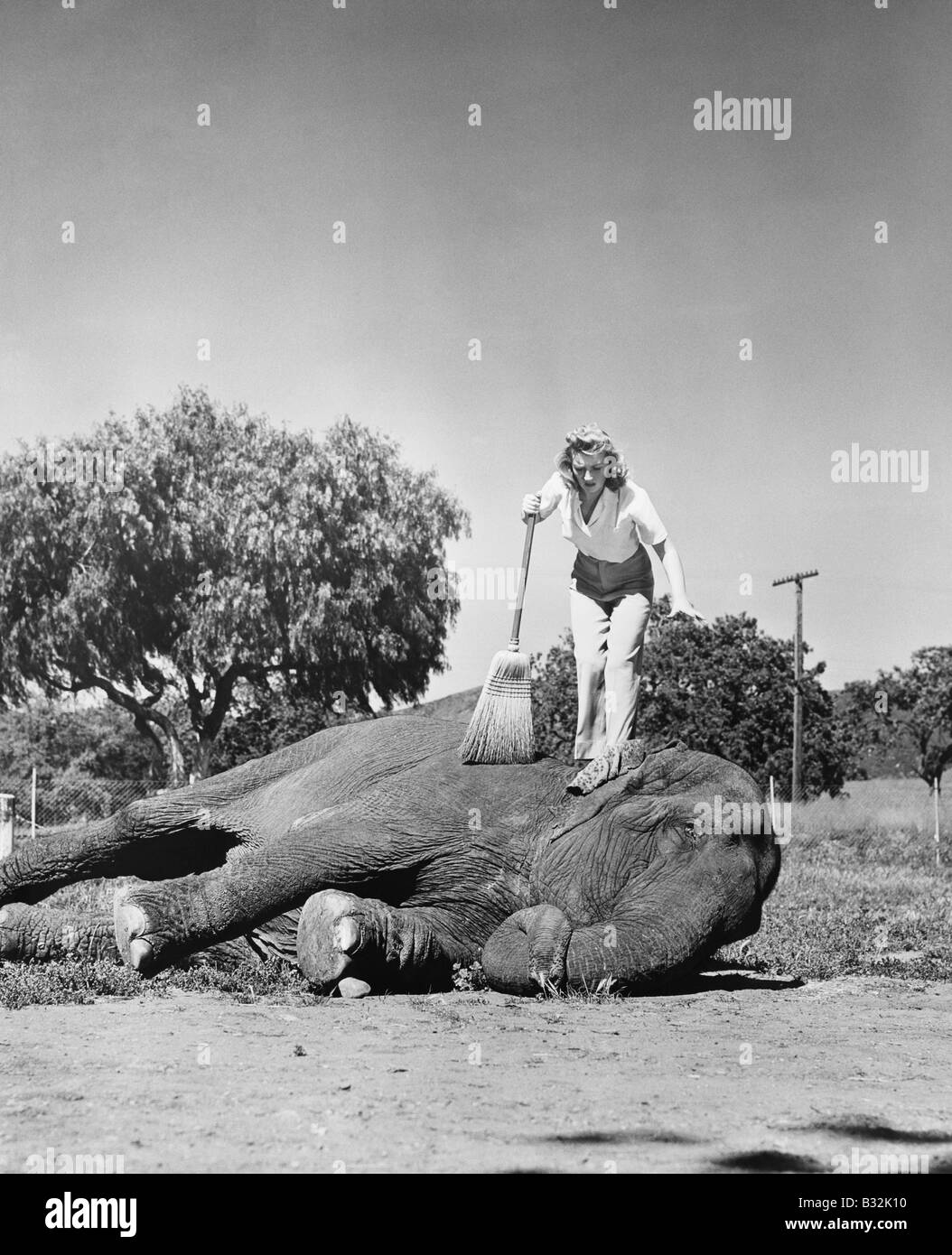 Massiccio processo di pulizia Foto Stock