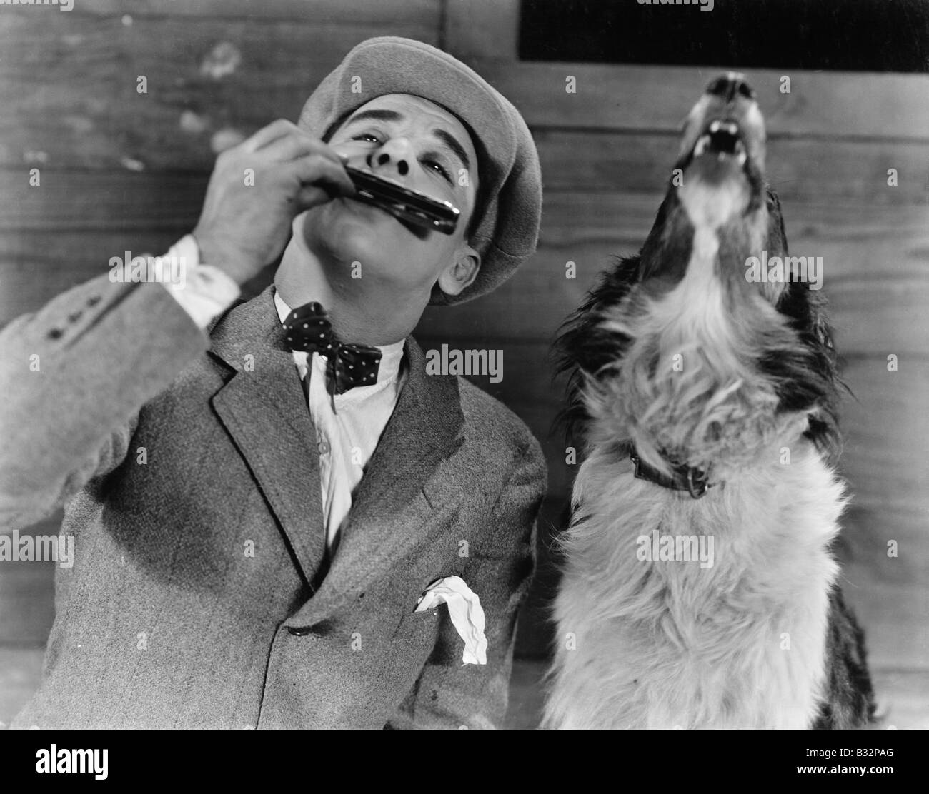 L'uomo gioca armonica con ululati cane Foto Stock