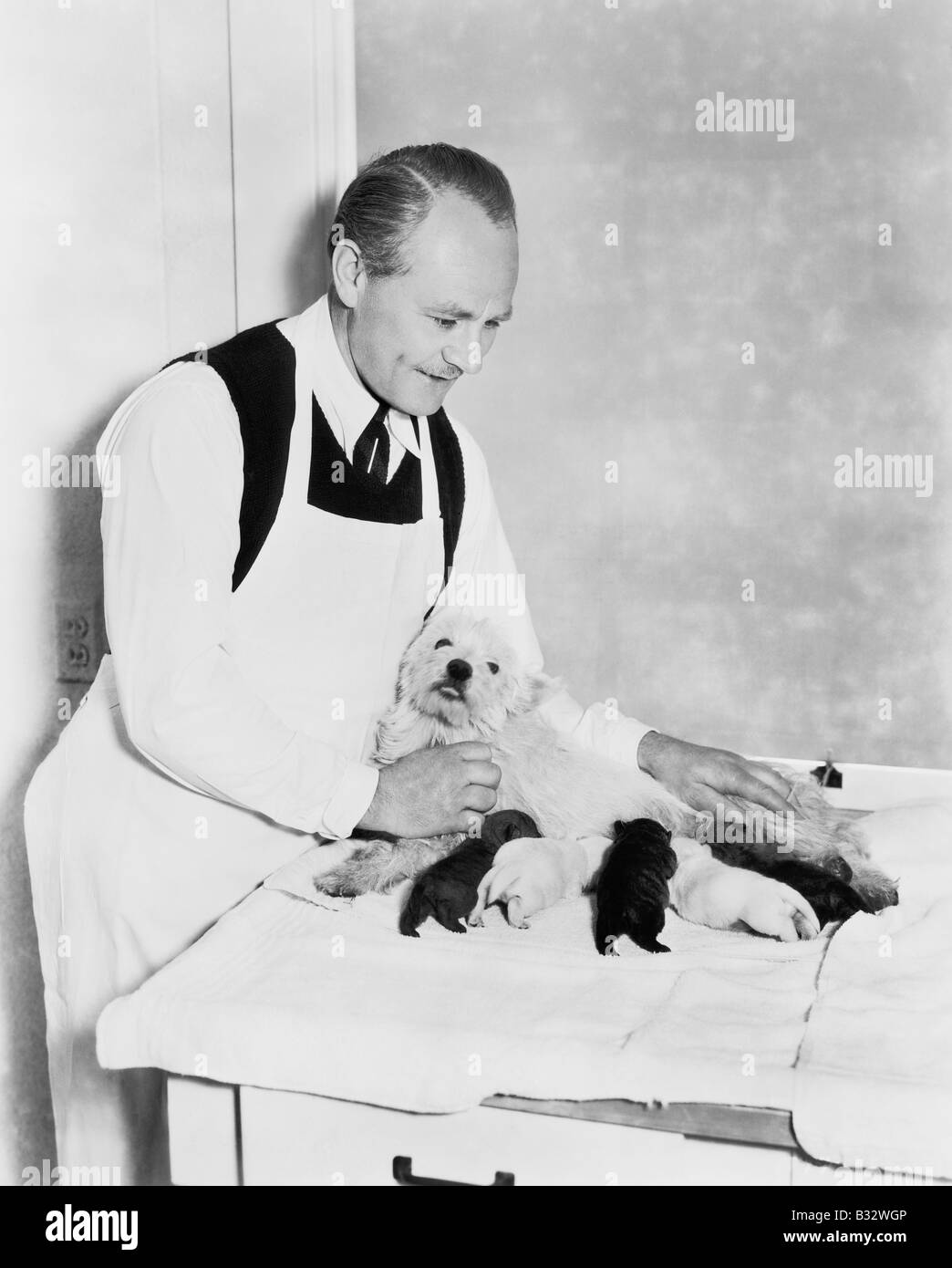 Veterinario tenendo un cane con i suoi cuccioli Foto Stock