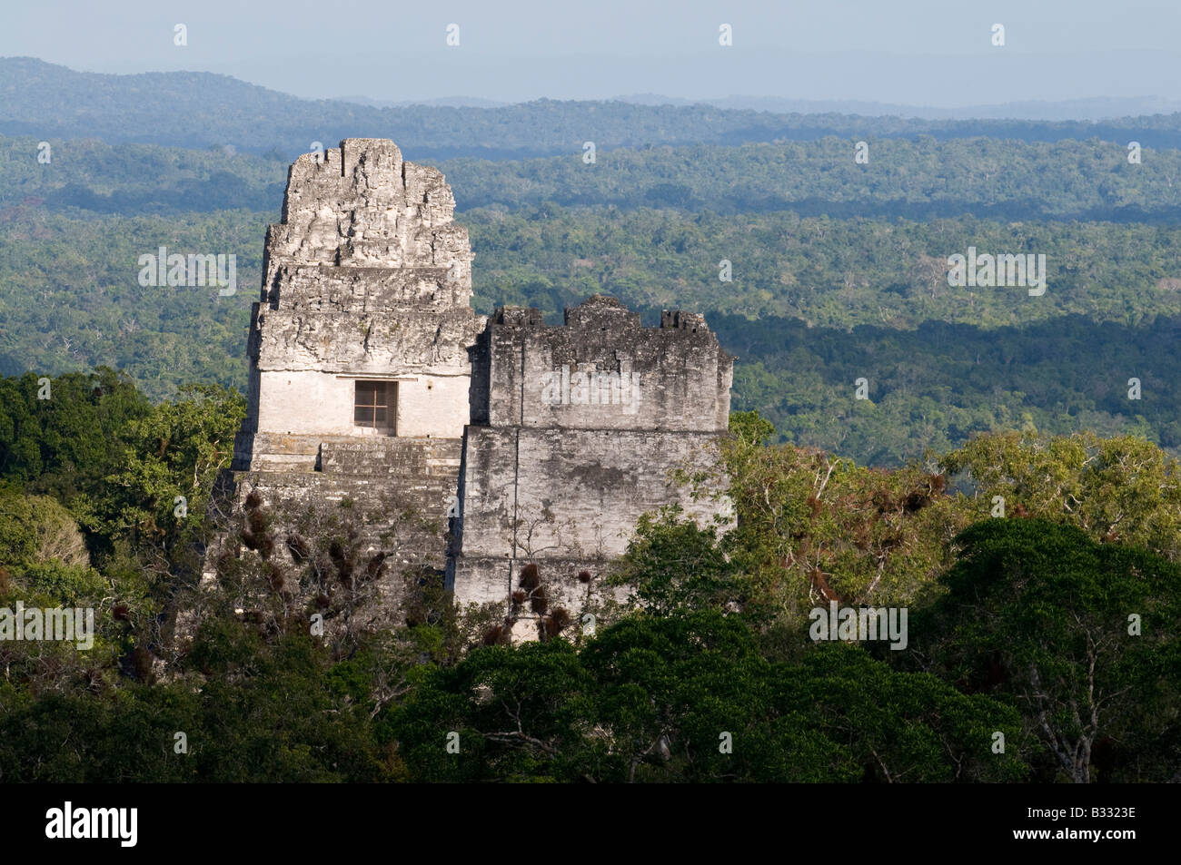 Templi che salgono sopra la foresta pluviale a Tikal visto dal Tempio 1V Guatemala Foto Stock