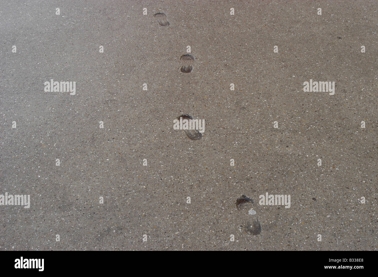 Stampa del piede su una strada rivestite di cemento Foto Stock