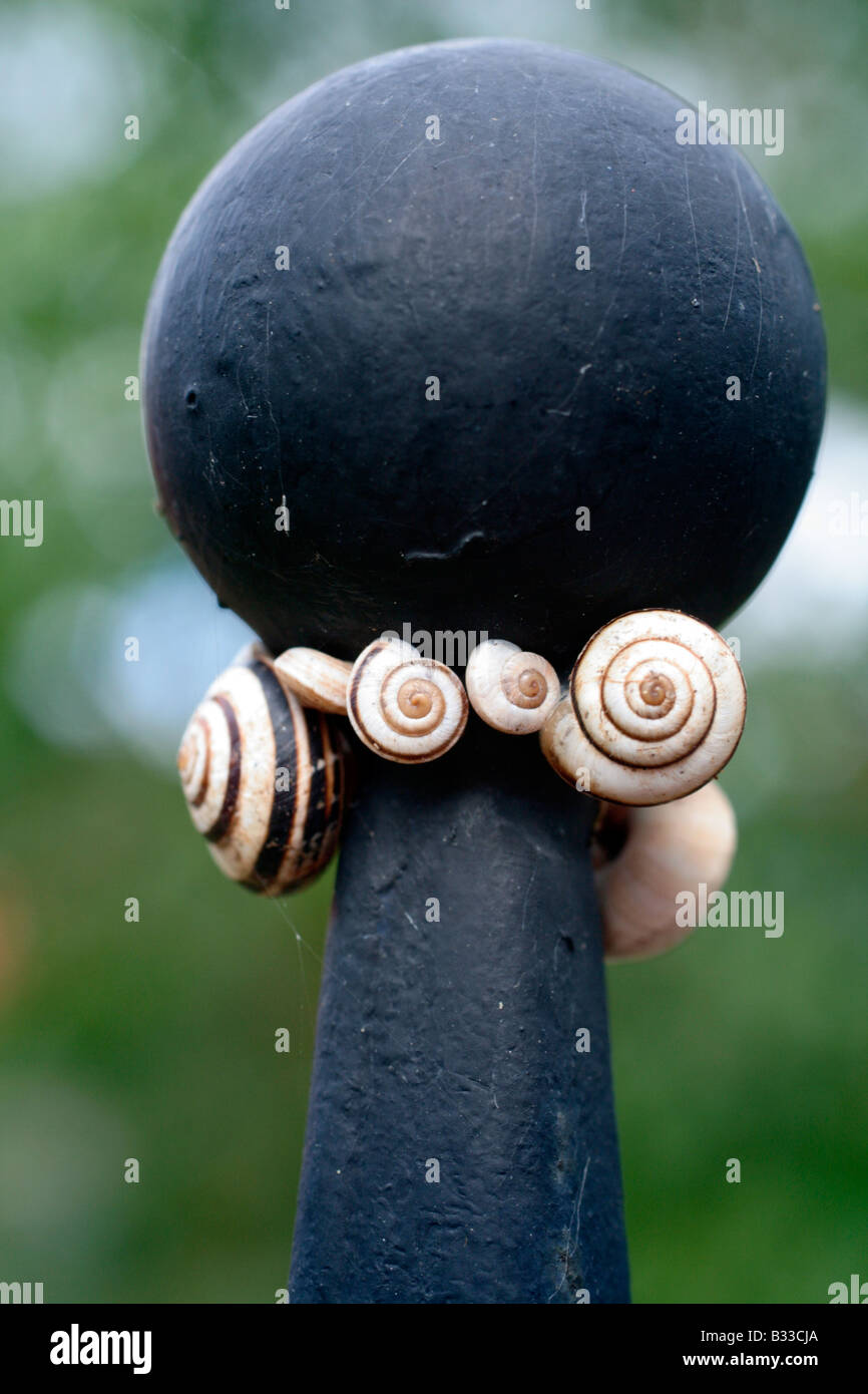 Lumache SU UN FERRO BATTUTO GATEPOST Foto Stock