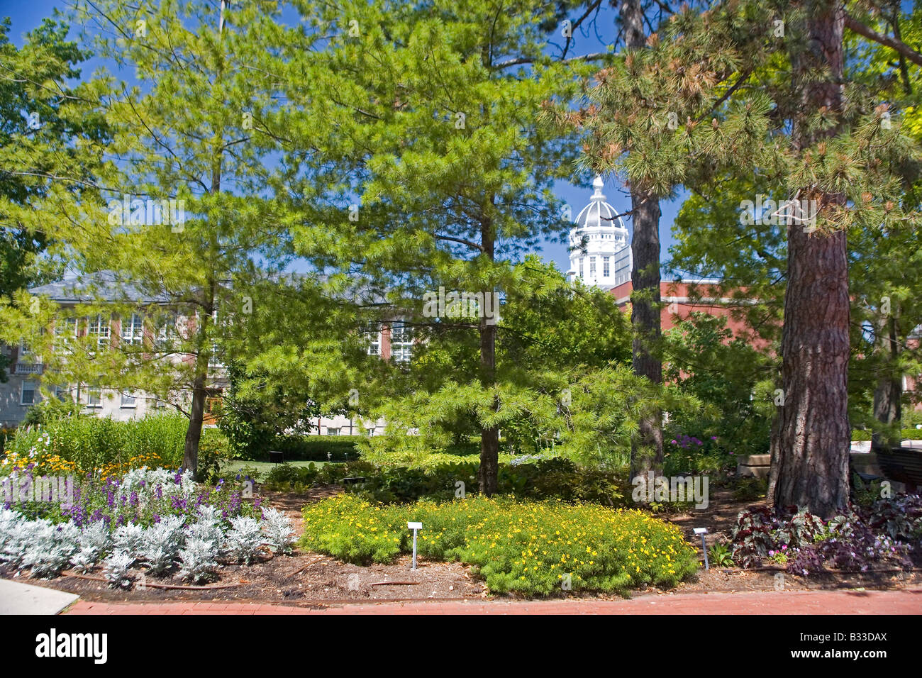 University of Missouri Botanic Garden e Jesse Hall Foto Stock