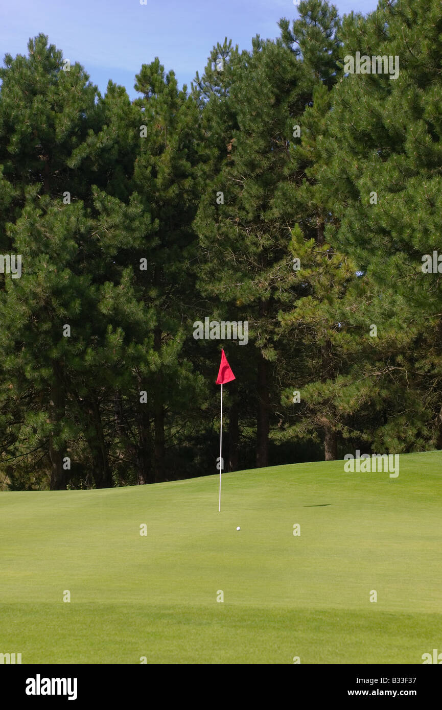 Golf putting green con una bandiera rossa e la sfera Foto Stock