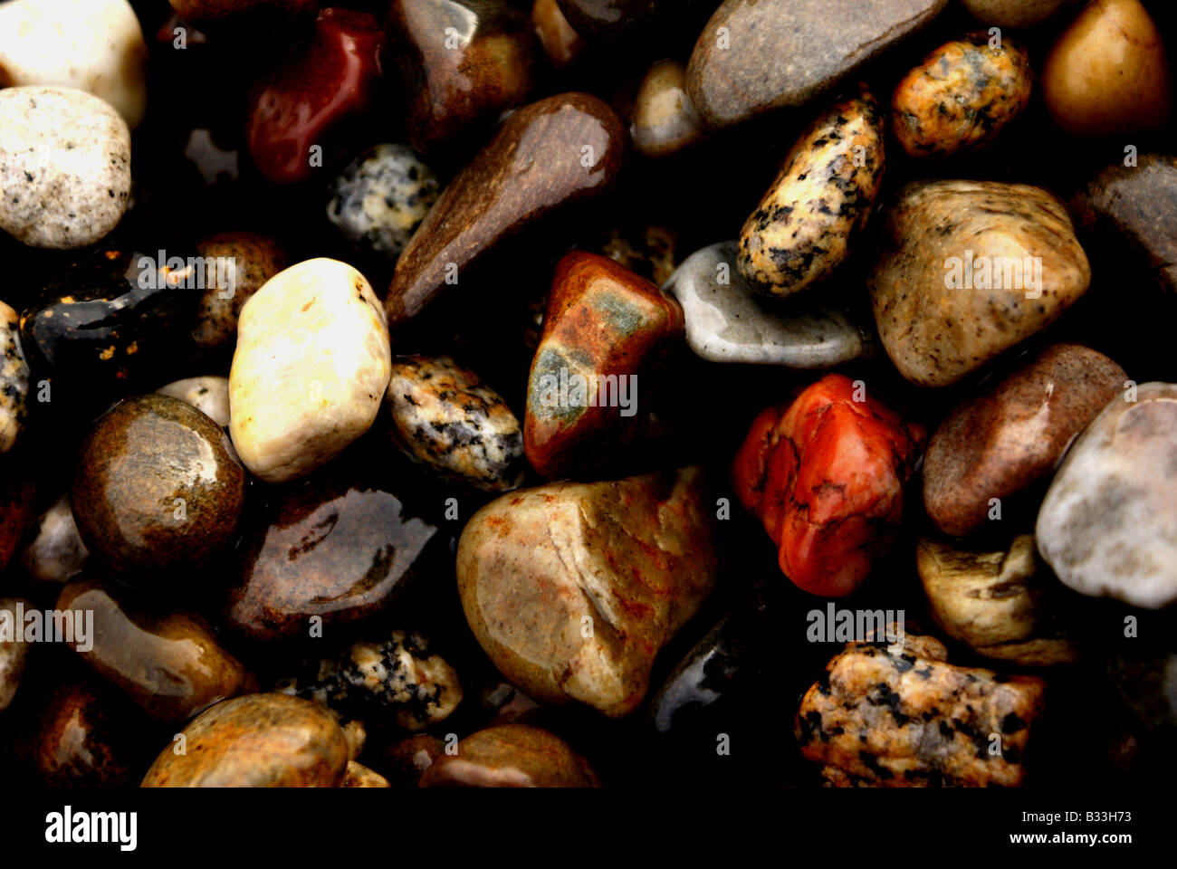 Colori brillanti/modellato le rocce umide a bordo d'acqua Foto Stock