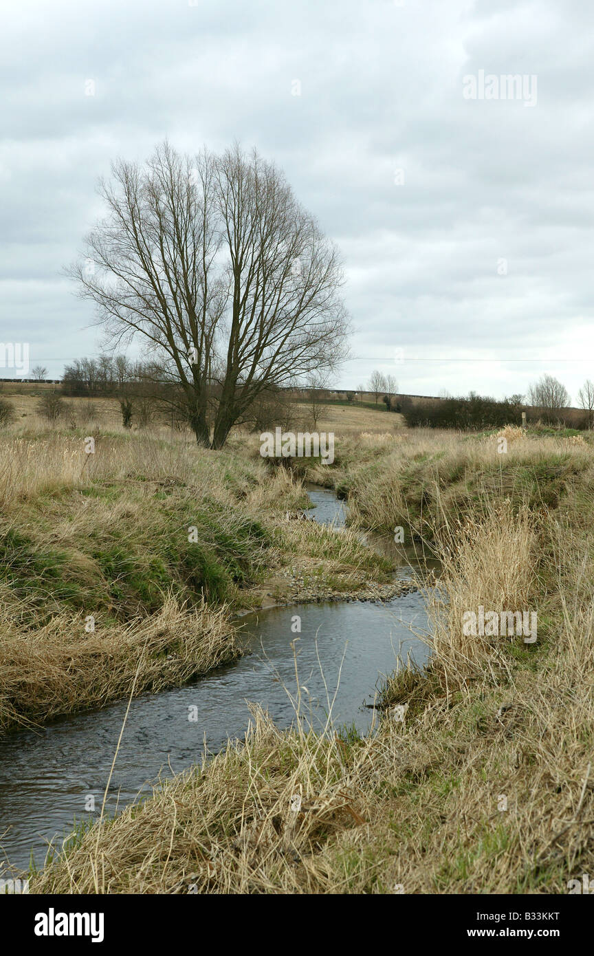 Piccolo fiume passando attraverso pascoli rurali campagna con struttura dominante in background e un cielo d'inverno per copyspace o Foto Stock