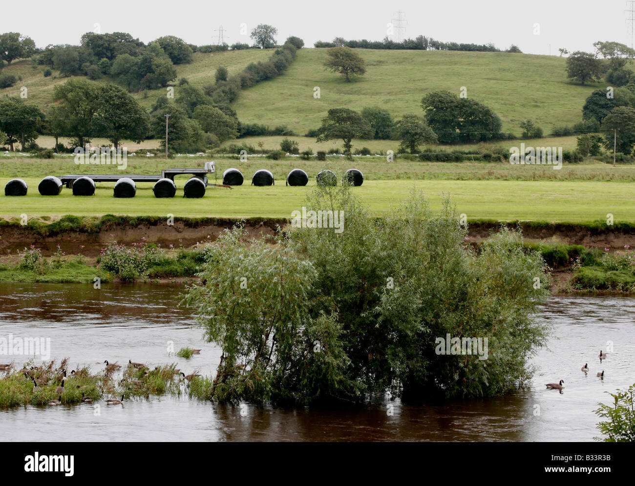 Ribchester, il fiume Ribble e terreni agricoli, Lancashire, Inghilterra, Regno Unito Foto Stock