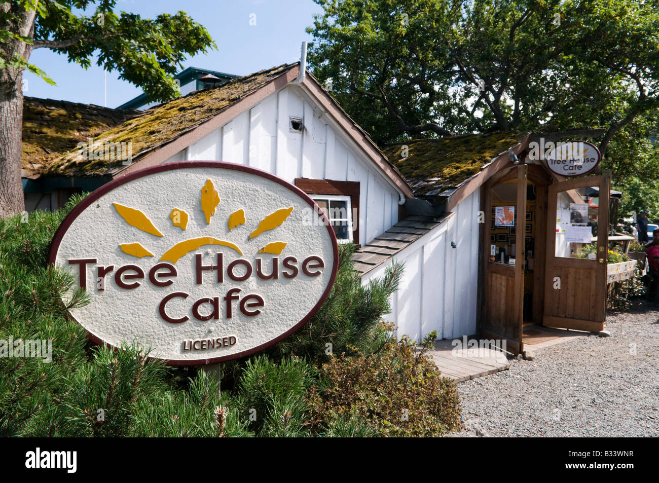 "L'albero di Casa Cafe Salt Spring Island Canada" Foto Stock