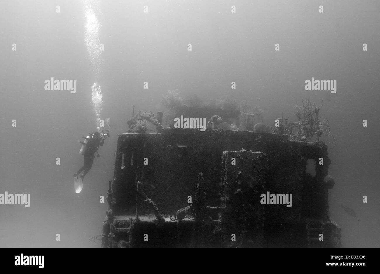 Prezzo Albert ricoperti di corallo con subacqueo fotografie di scatto sul lato del naufragio Foto Stock