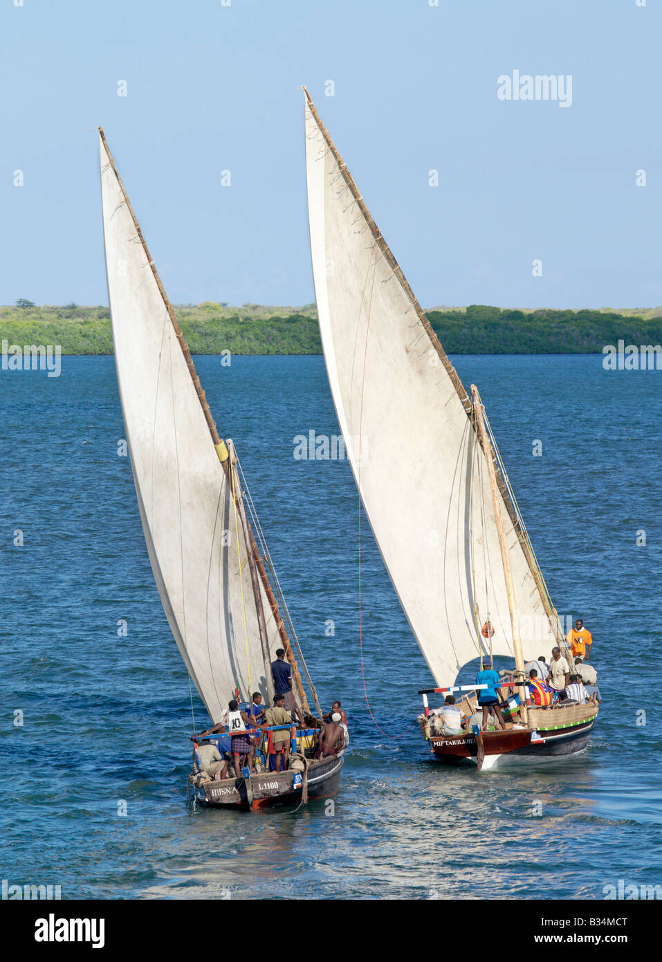 Kenya, Coast Province, isola di Lamu. Dhows sailing off isola di Lamu. Dhow o Dau è la parola colloquiale utilizzato dalla maggior parte dei visitatori per Foto Stock