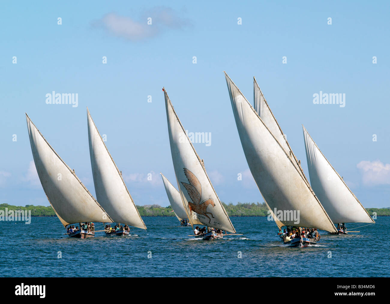 Kenya, Coast Province, isola di Lamu. Dhows sailing off isola di Lamu. Dhow o Dau è la parola colloquiale utilizzato dalla maggior parte dei visitatori per Foto Stock