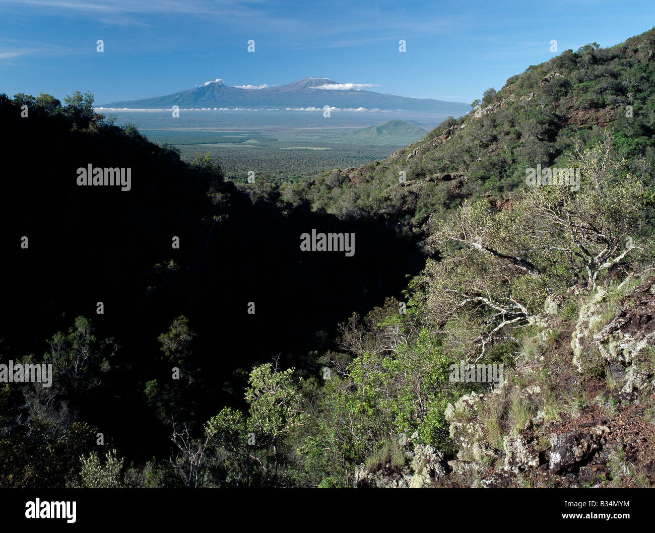 Kenya, Tsavo, Chyulu Hills. Una vista del Monte Kilimanjaro dal vulcanico colline Chyulu, una cinquantina di miglia lontano. Kibo, il tondeggiante snow-capped cupola sulla destra è la montagna più alta in Africa, in piedi a 19,340 piedi sopra il livello del mare. Mawenzi (sulla sinistra) è 16.900 piedi alta. Foto Stock