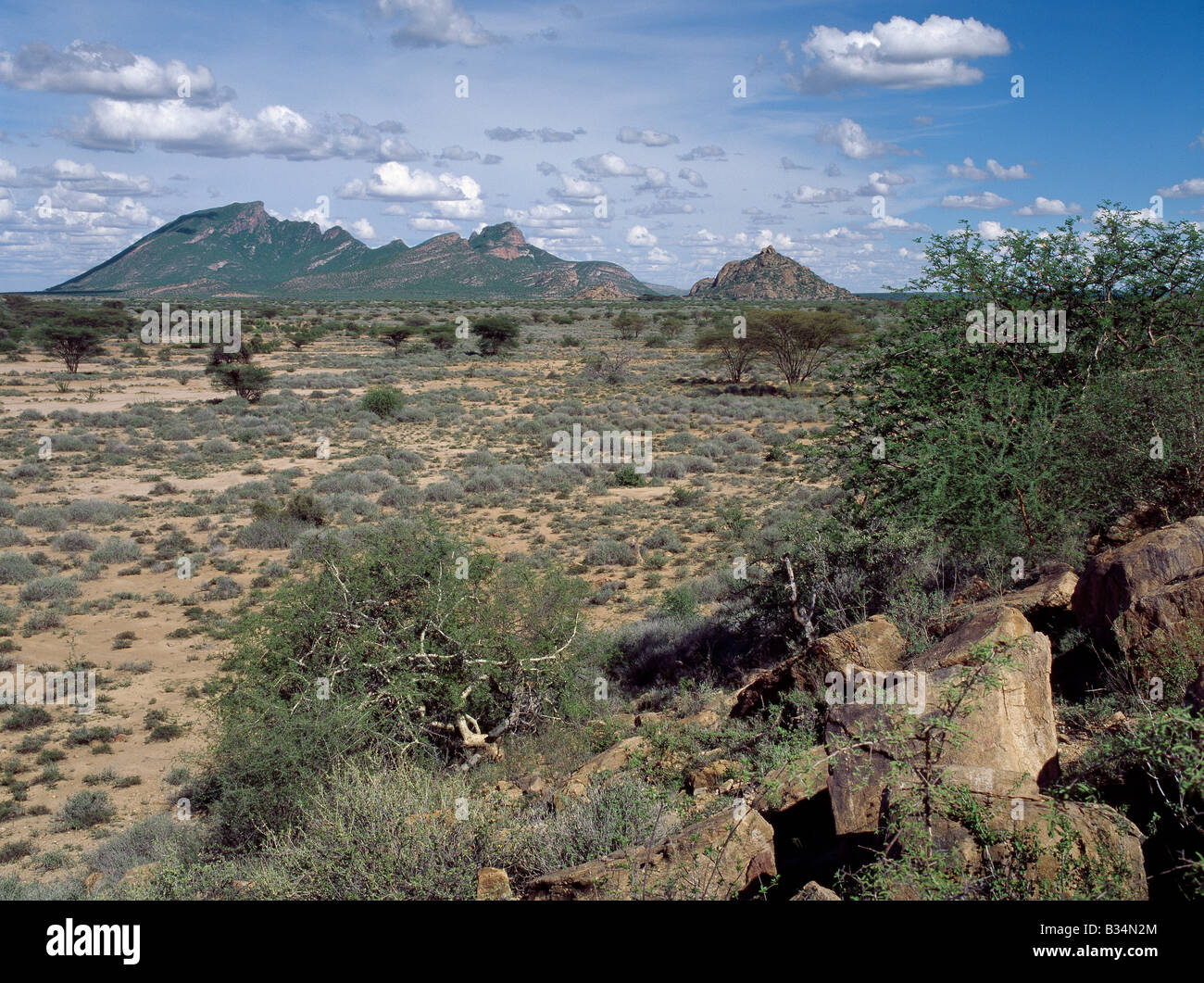 Kenya, distretto di Marsabit, Ngurunit. Semi-arido thorn scrub descrive meglio la vegetazione del nord Samburuland dove semi-pastori nomadi eke fuori una vita da un serissimo terra. La regione è caratterizzata da grand vistas, terreni poveri e una pioggia inaffidabile. La montagna nella distanza è Baio, che sorge ad un altezza di 5,746 piedi.Questa terra è condivisa dal bestiame-possedere Samburu (correlata al -maa parlando Maasai) e loro camel-possedere Rendille vicini. Le lingue, le dogane e le origini dei due popoli sono piuttosto differenti. Foto Stock