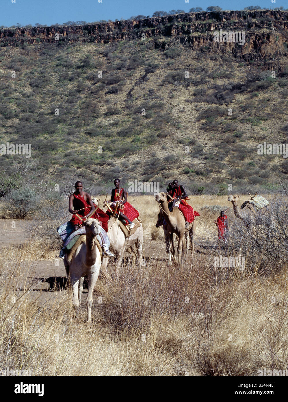 Kenya, Rift Valley Provincia, Olorgasailie. Maasai uomini corsa cammelli in secco del paese di bush a Olorgasailie, situato tra Nairobi e Lake Magadi. Foto Stock