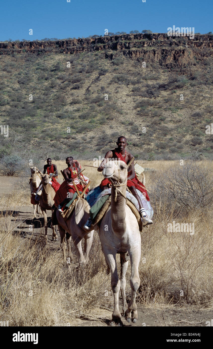 Kenya, Rift Valley Provincia, Olorgasailie. Maasai uomini corsa cammelli in secco del paese di bush a Olorgasailie, situato tra Nairobi e Lake Magadi. Foto Stock