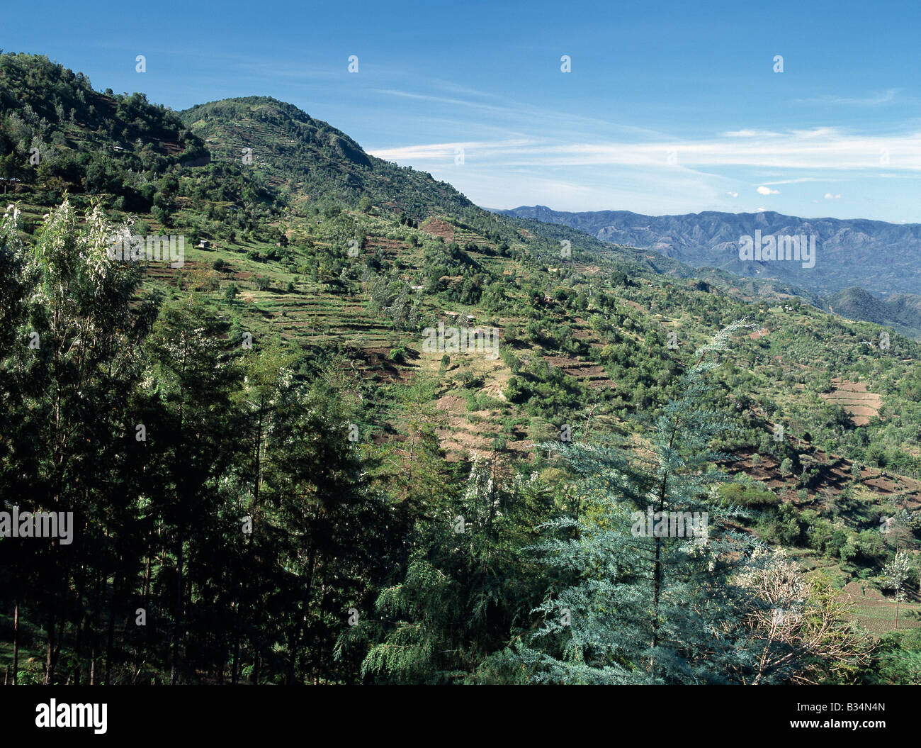 Kenya, Rift Valley Provincia, Kabarnet. Una bella vista dai declivi coltivati della Tugen Hills cercando in tutta la valle di Kerio per la scarpata Keiyo aumento nella distanza. Questa scarpata costituisce la parete ovest del Gregory Rift - uno dei più spettacolari tratti di Africa è notevole Great Rift Valley. Foto Stock