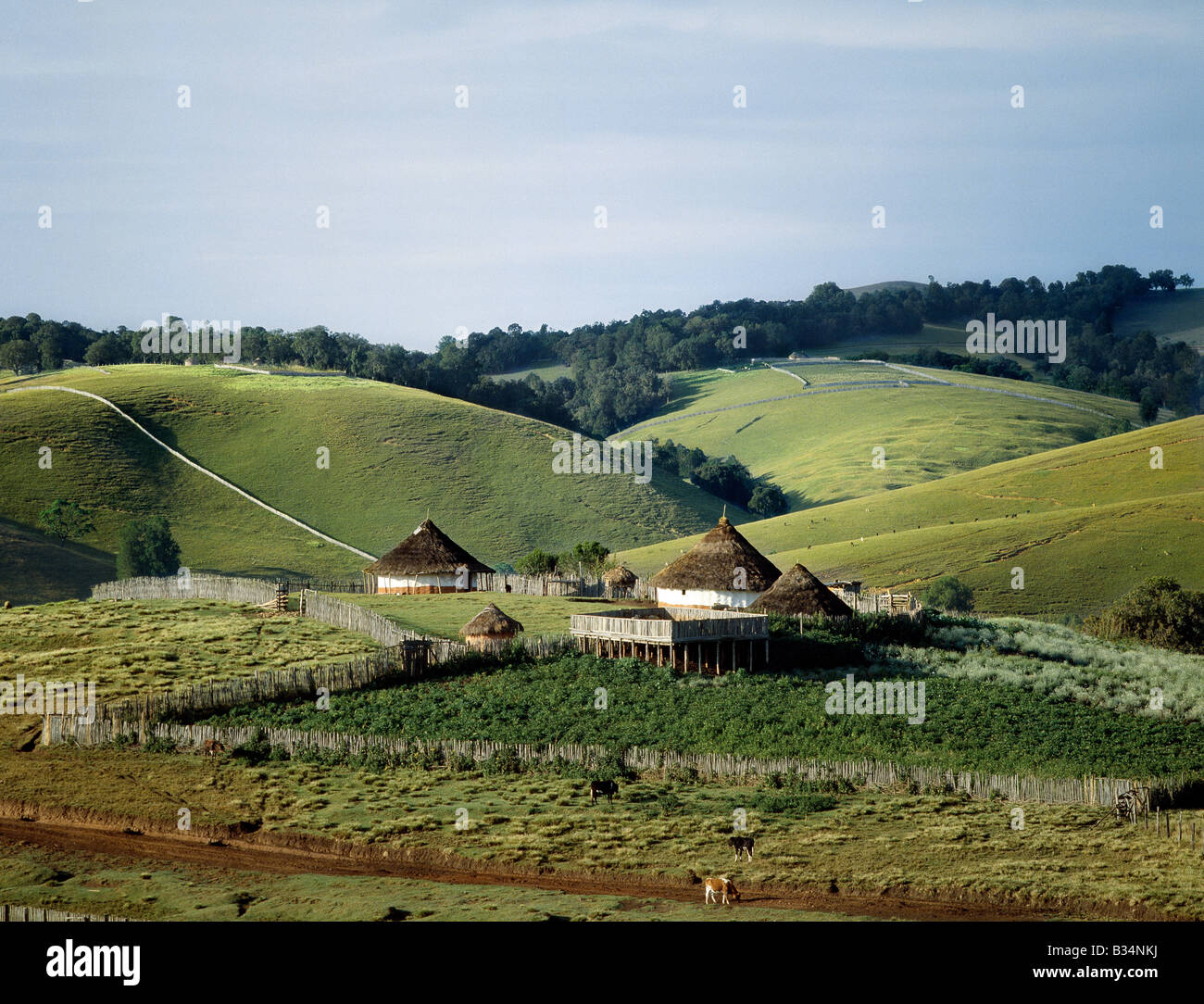 Kenya, Kapenguria distretto, Cherangani Hills. Tradizionale Africana di case circondate da pascolo buono sulla sommità del Cherangani Hills. La piattaforma rialzata è utilizzato dall'agricoltore come una penna di pecore di notte. Foto Stock