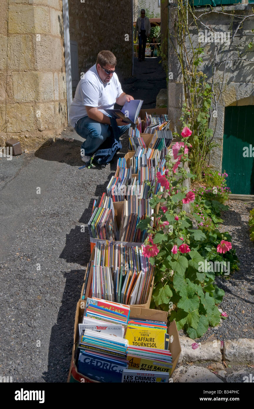 L'uomo la navigazione libri alla Fiera del libro di / Foire aux Livres, angoli-sur-l'Anglin, Vienne, in Francia. Foto Stock