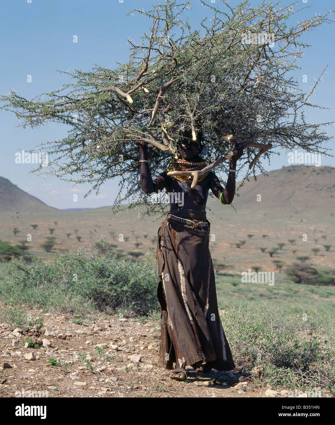 Kenya, Turkana, Nachola. Le responsabilità e i compiti dei Turkana le donne non sono mai fine. Qui, una donna di ritorno a casa il bilanciamento Foto Stock