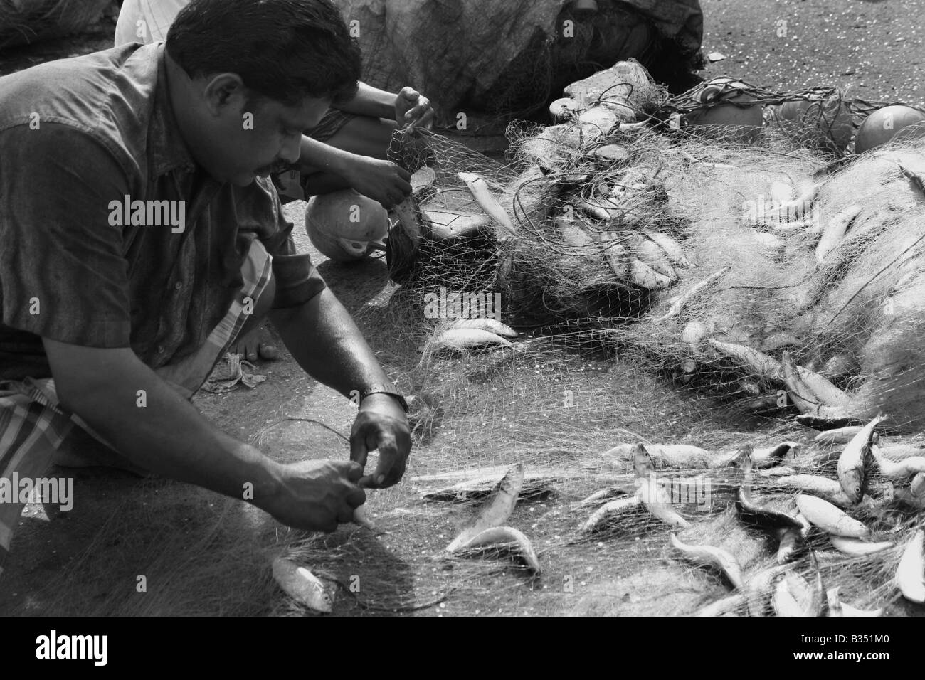 Fishemen presso un mercato del pesce separazione dell sardine dalla rete Foto Stock