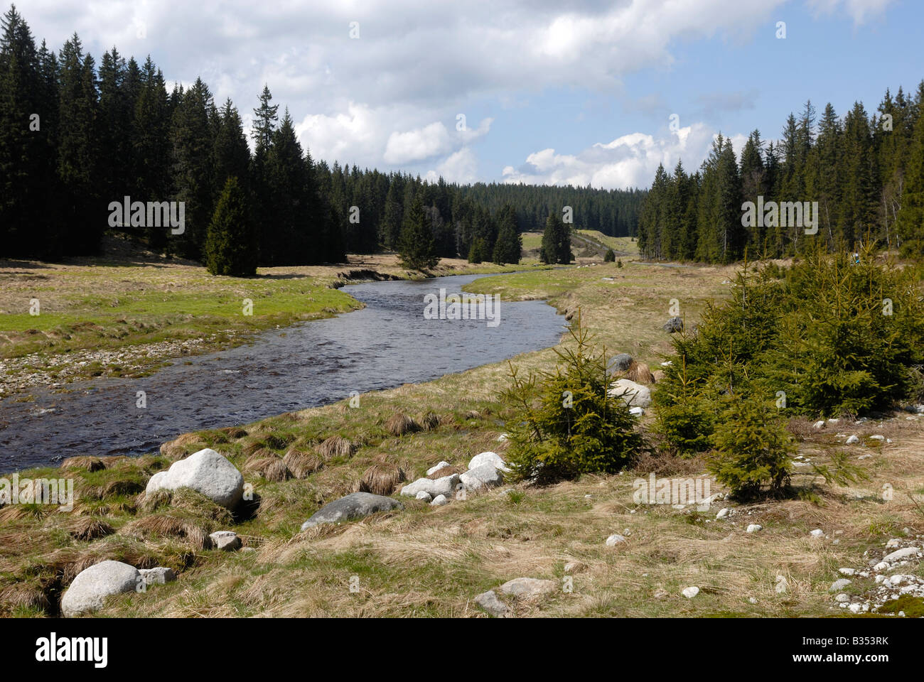 Modrava Roklansky potok Sumava Parco Nazionale di Repubblica Ceca Foto Stock