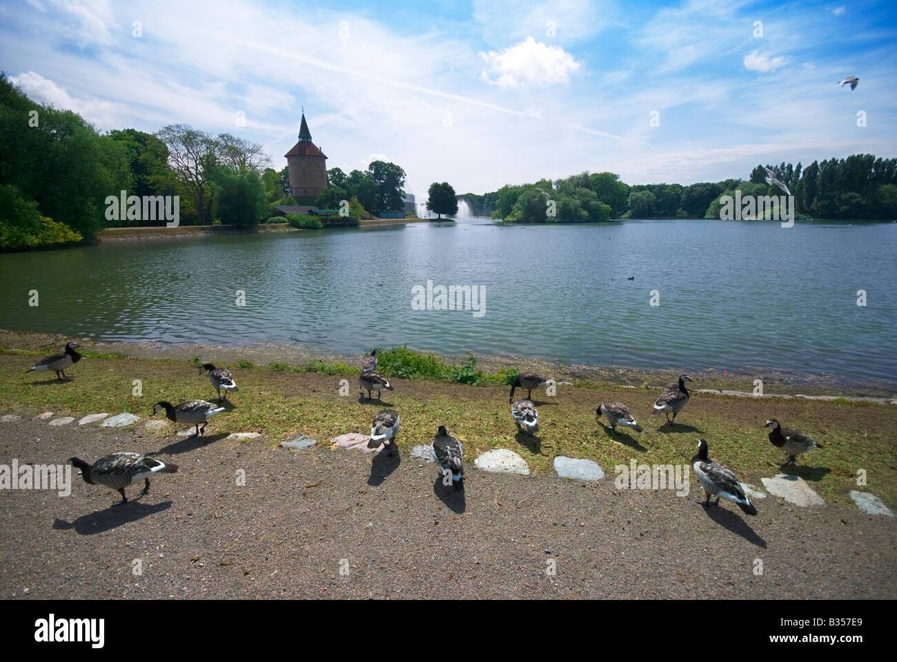 Pildammsparken, il Salice il parco del lago, è il più grande parco di Malmö, Svezia e una popolare area ricreativa. Foto Stock