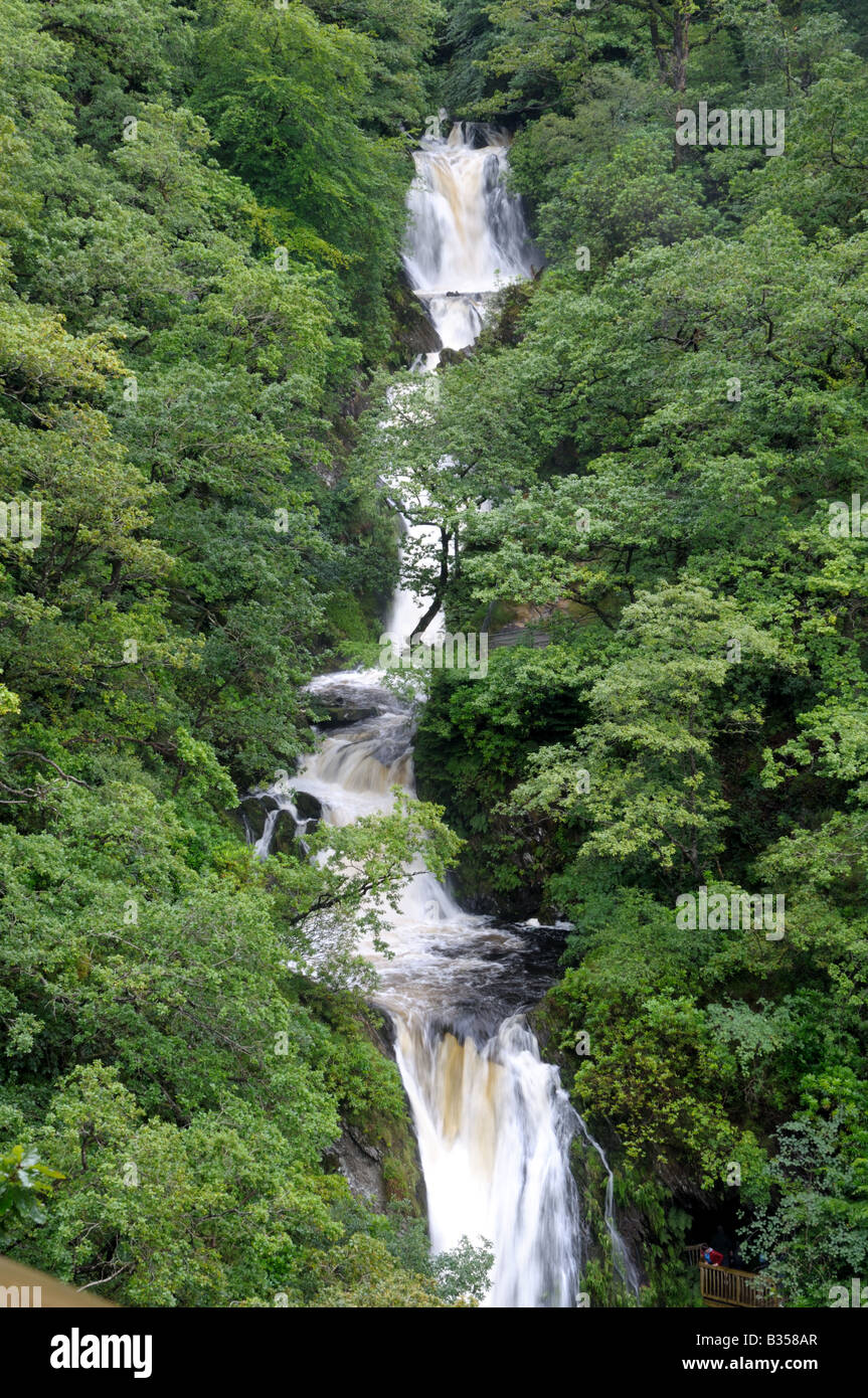 Ponte del diavolo a cascata Pontarfynach Foto Stock