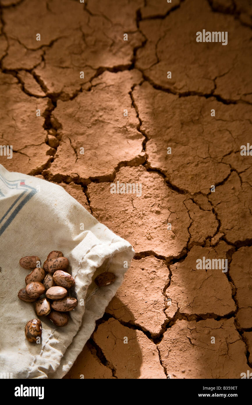 Fagioli Pinto e sacco sulla terra secca Foto Stock