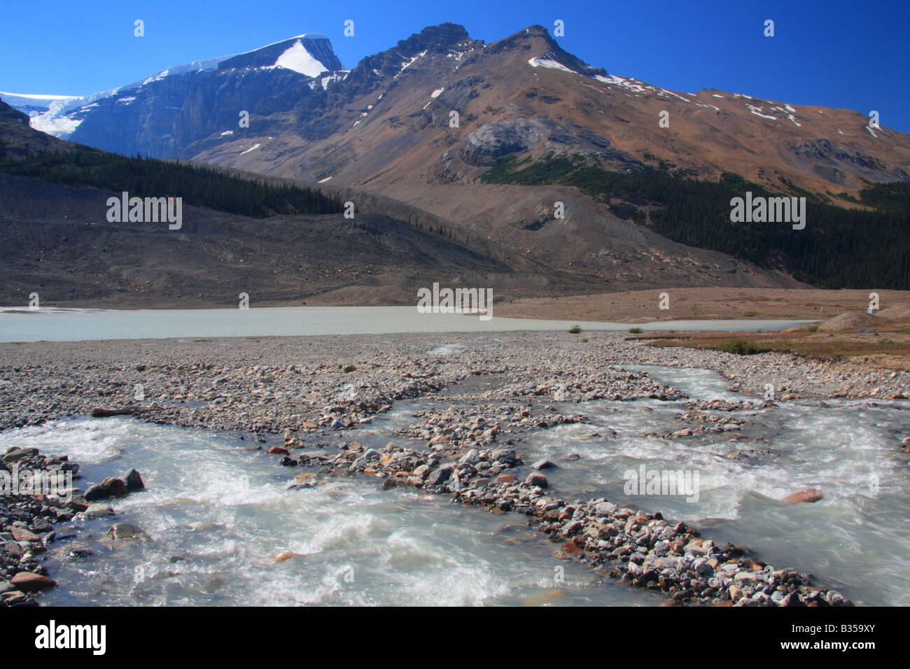Il Columbia Icefield, Jasper National Park, Alberta Foto Stock