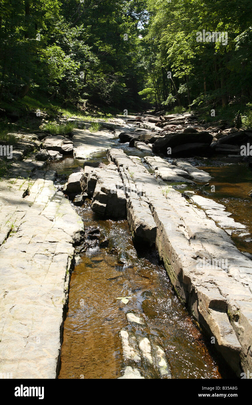 Lastra di roccia angolare con piccolo ruscello. Foto Stock