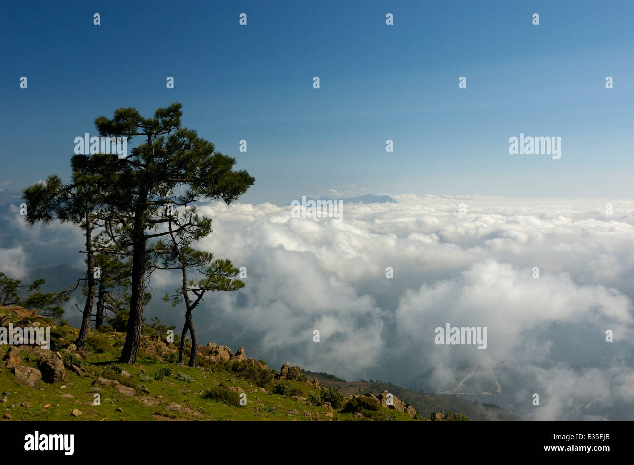 Una foto di un paesaggio Foto Stock