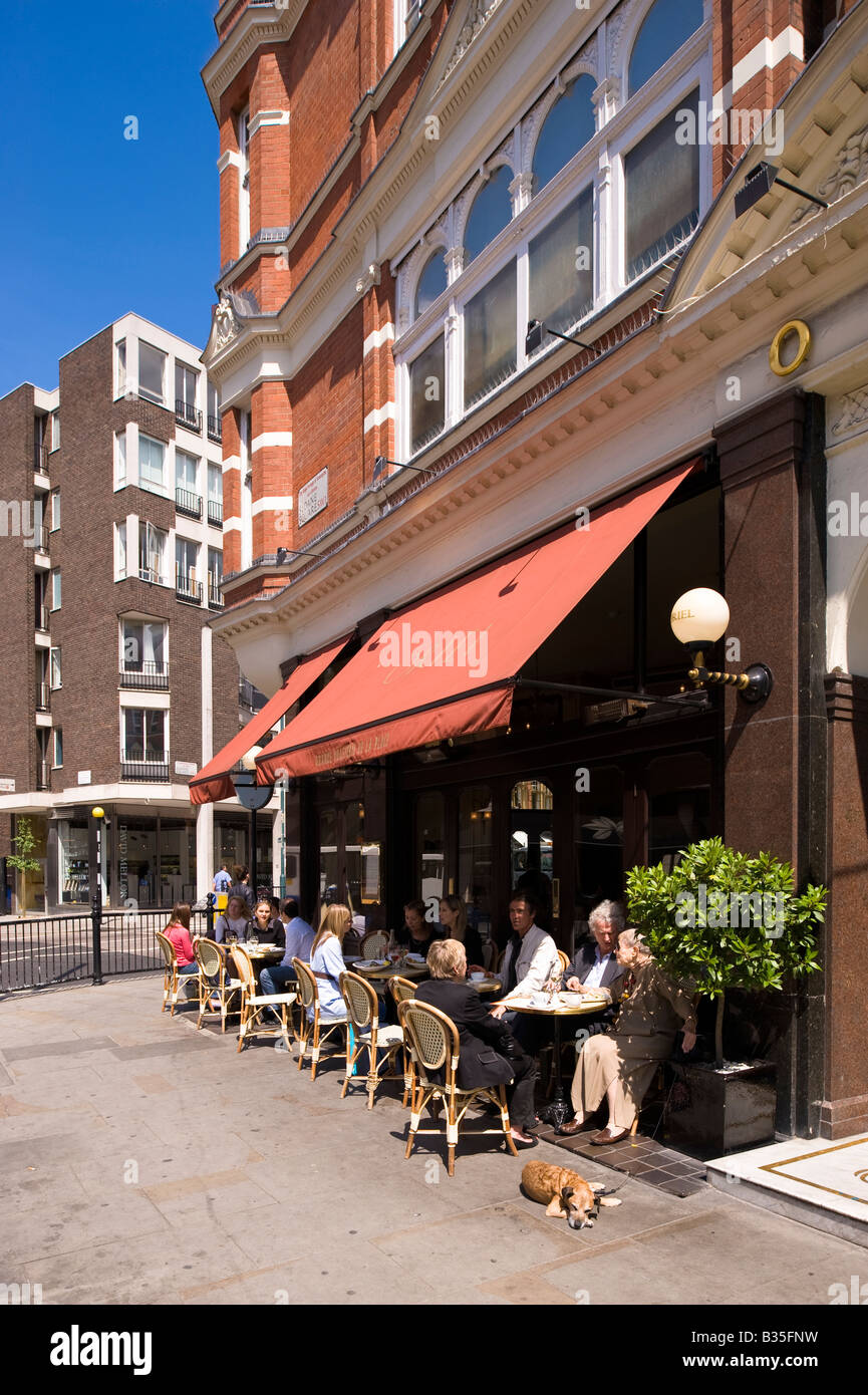La Brasserie ORIEL Sloane Square Chelsea SW3 London Regno Unito Foto Stock
