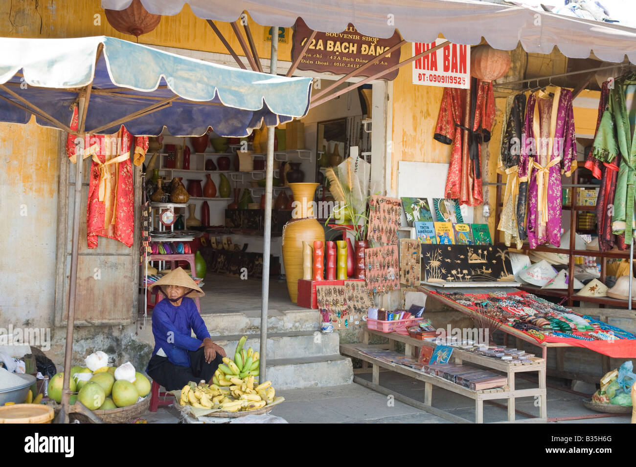 Una signora corre il suo mercato giornaliero in stallo in Vietnam Foto Stock