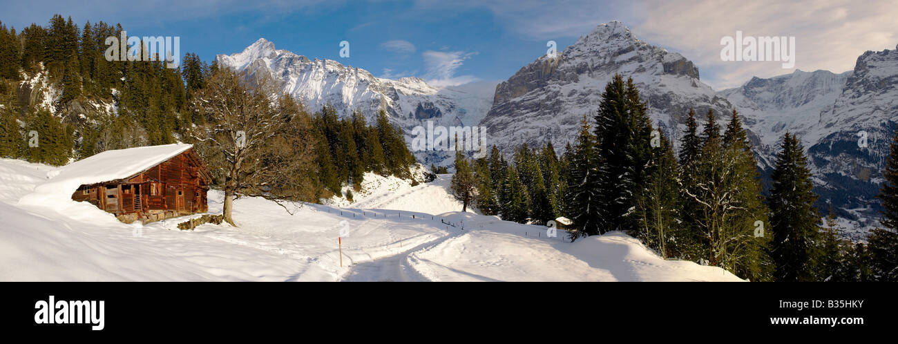 Alta pascoli alpini con un chalet sotto con il Wetterhorn dietro - Swiss Brenese Alpi della Svizzera Foto Stock