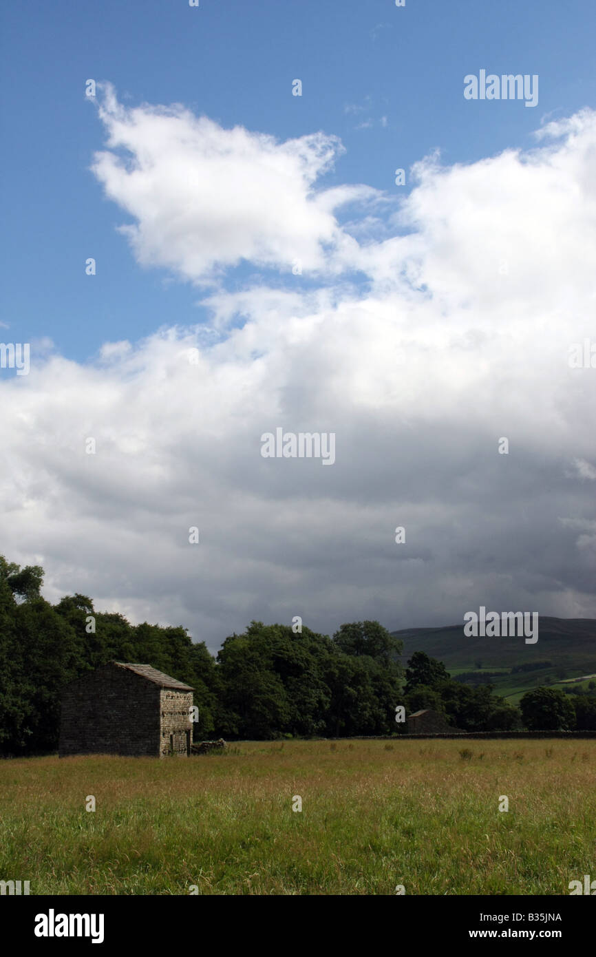 Il vecchio fienile in campo, a piedi dal castello di Bolton a a Carperby e retro Foto Stock