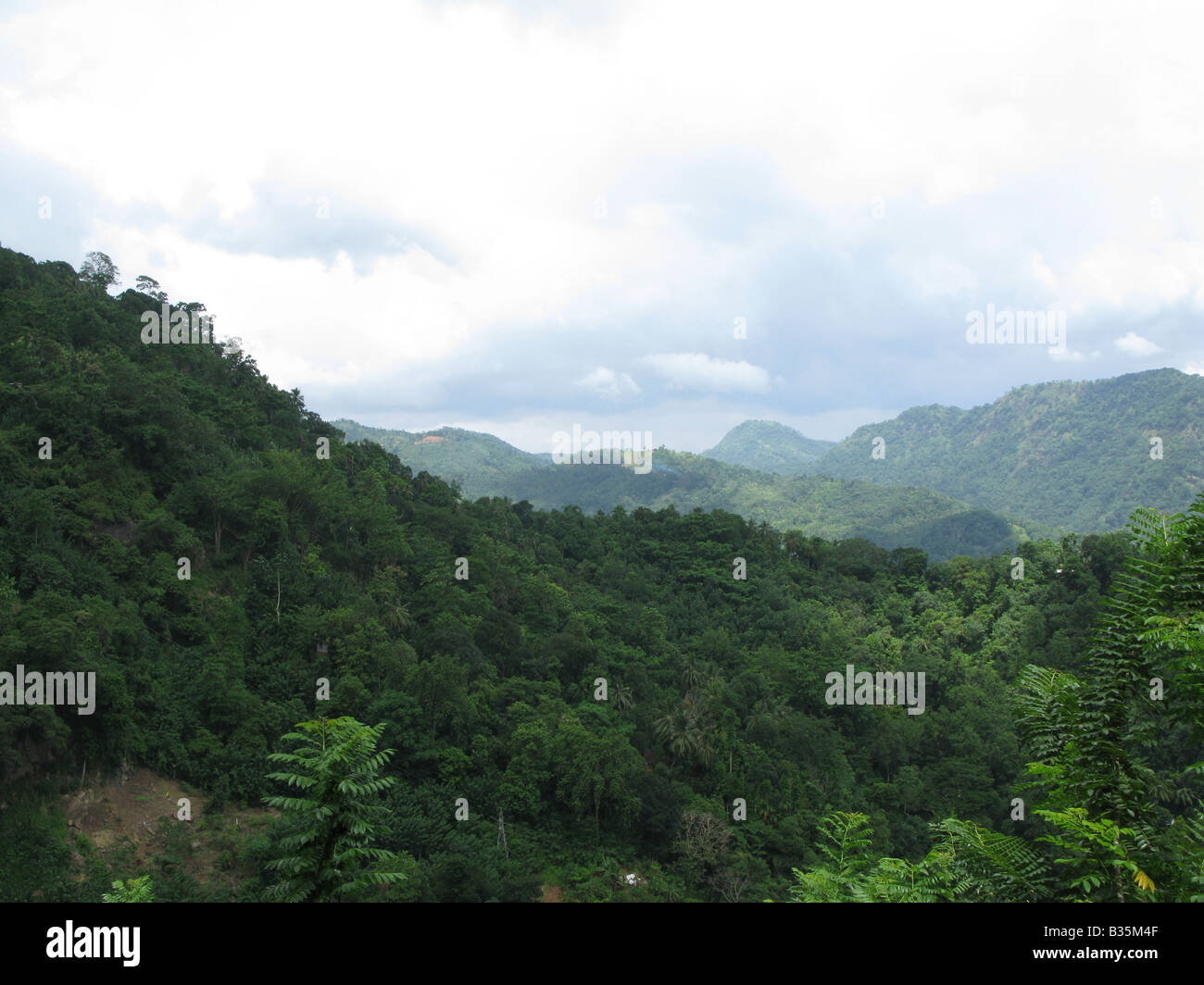 Jungle colline sulla strada fino a Kandy da Colombo, Sri Lanka Foto Stock