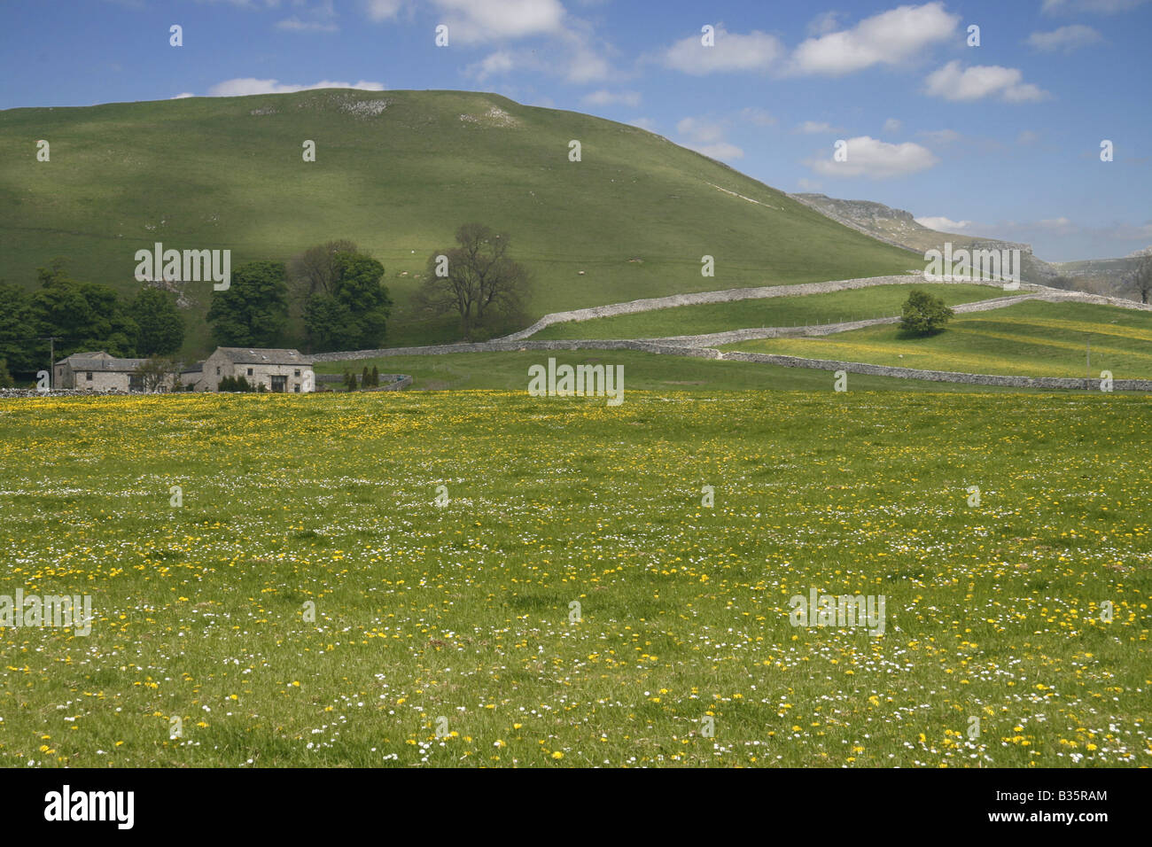 Vista su un prato a Malham, nel Yorkshire Dales National Park, guardando verso Gordale Scar. Foto Stock