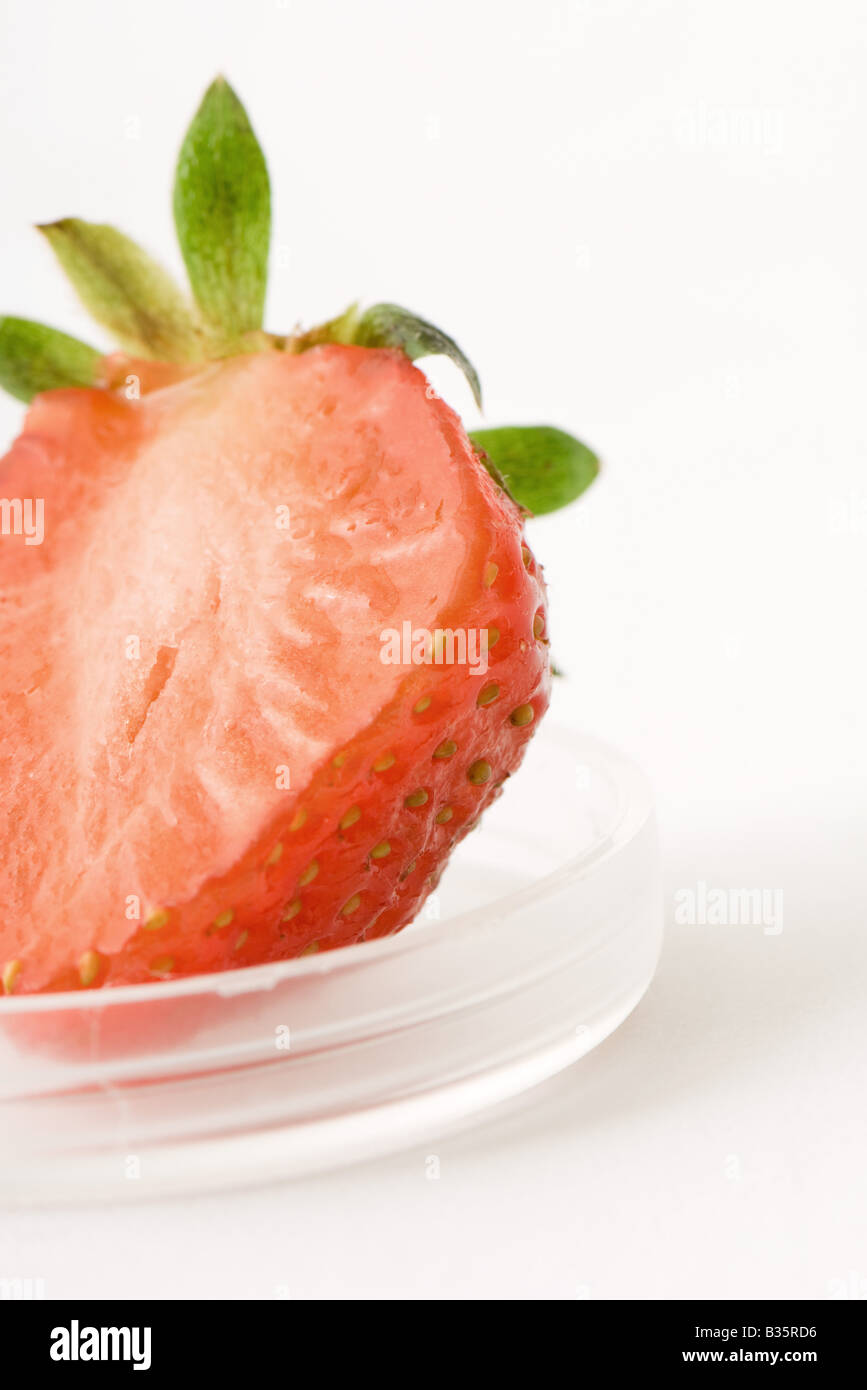 Sezione trasversale di fragola in piccolo contenitore cosmetico, close-up Foto Stock