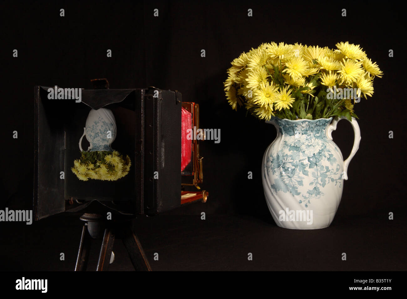 Still Life fotografia. Foto Stock
