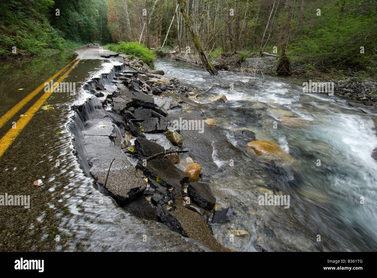 La sciacquatura della North Fork Skykomish River Road nello stato di Washington's Mount Baker-Snoqualmie National Forest. Foto Stock